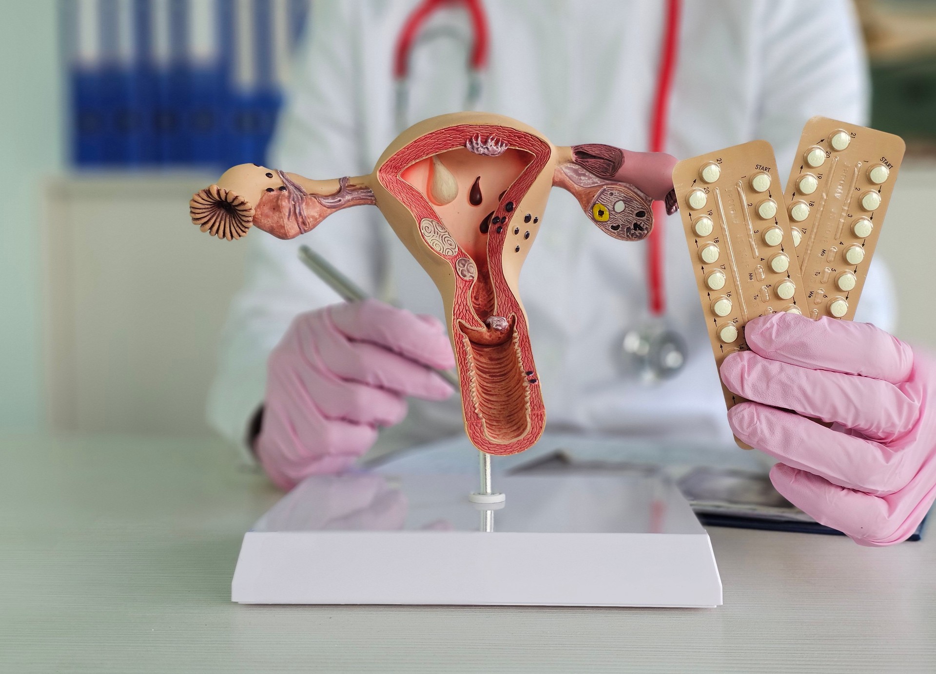 Medical professional shows reproductive anatomy model alongside birth control pills