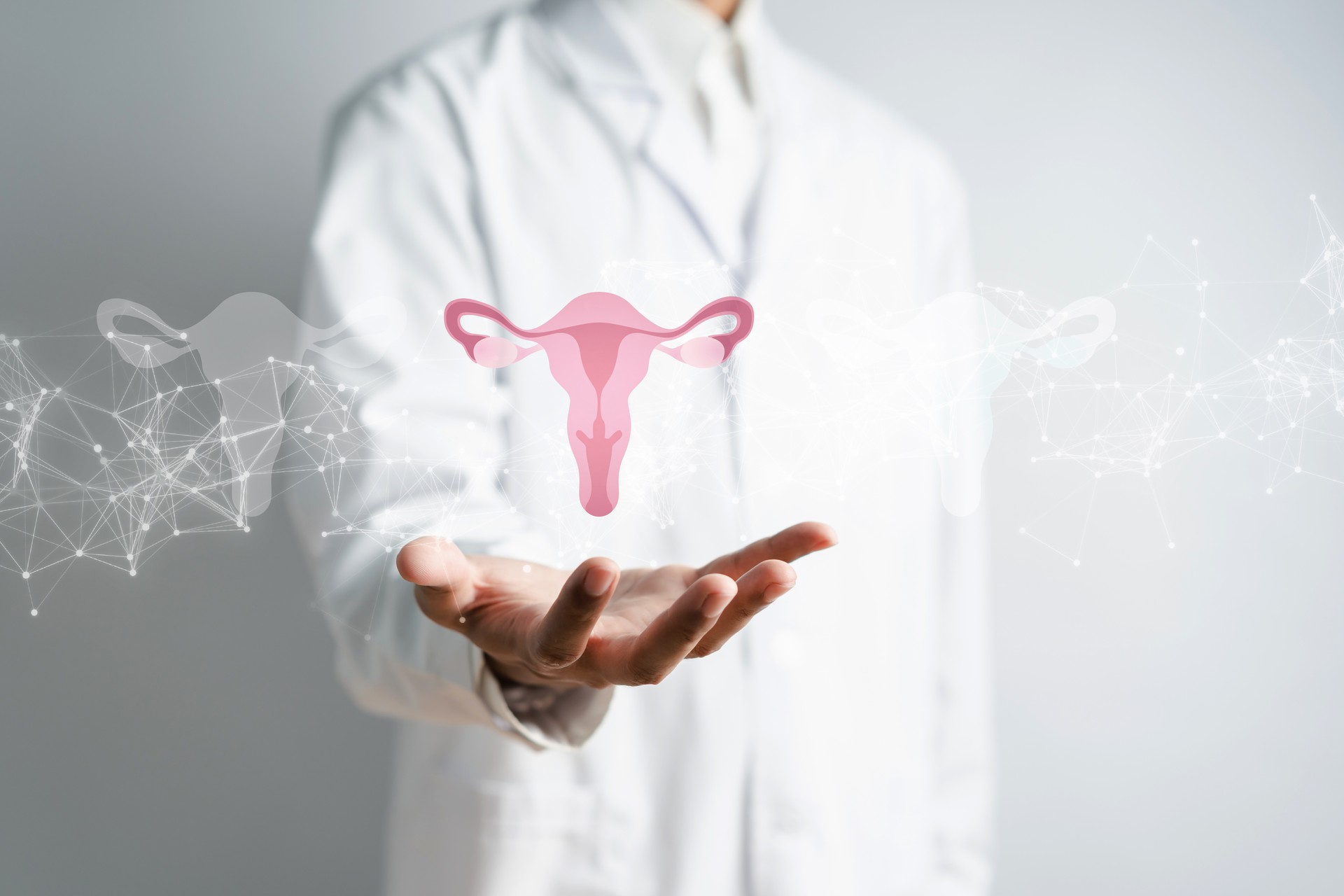 doctor in a white coat holding virtual uterus reproductive system , woman health, PCOS, ovary gynecologic and cervix cancer, Healthy feminine concept